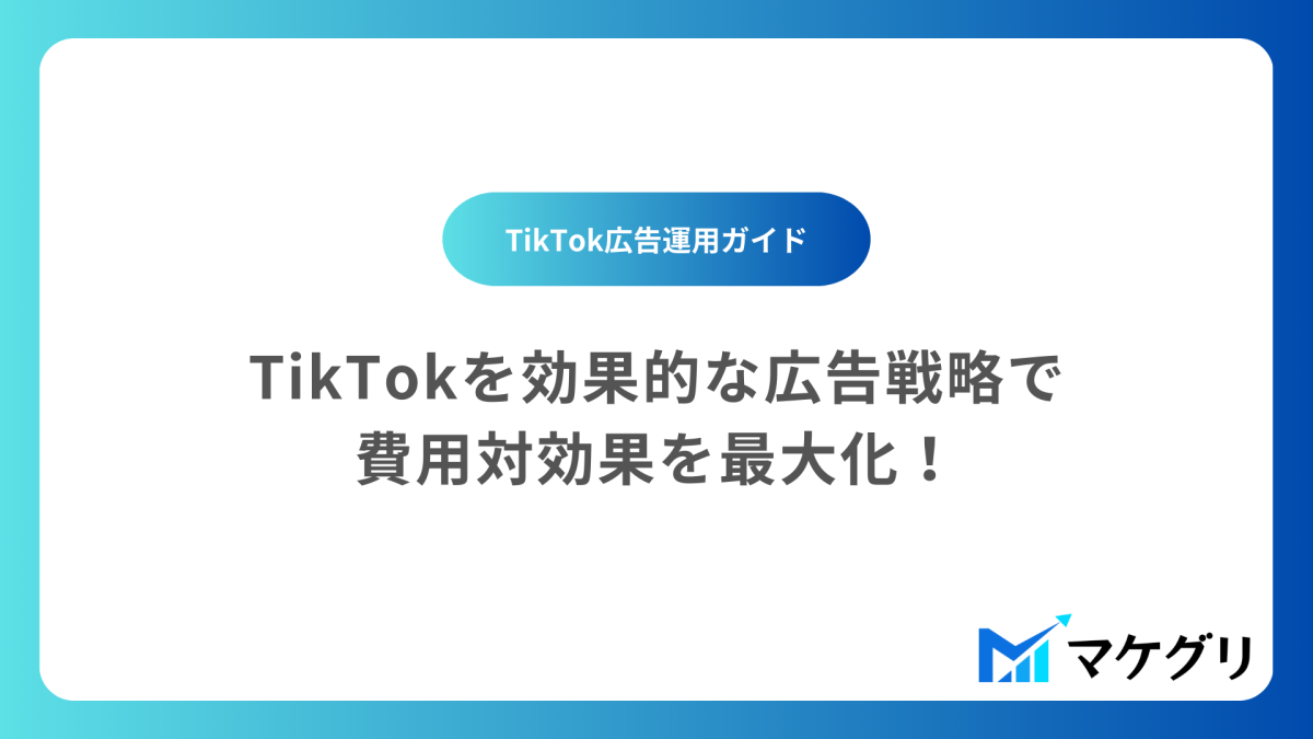 TikTok広告運用ガイド｜効果的な広告戦略で費用対効果を最大化する